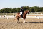 SBM_007066