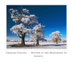 Winter at the Bradshaws  III