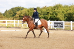 SBM_009356