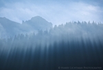 Light Cascade