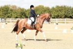 SBM_019239
