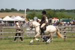 SBM_06956