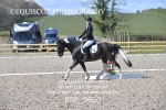 BPP_9660
