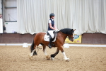 SBM_000867