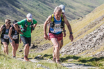 Old County Tops-811