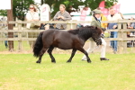 SBM_03544