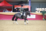 SBM_06153