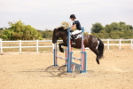 SBM_001191