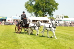 SBM_02781