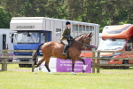 SBM_15063