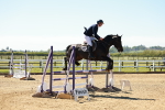 SBM_001033