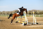 SBM_001467