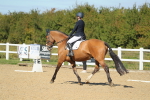 SBM_001494