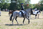 WJ6_8307