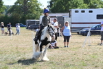 WJ6_8943