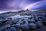 Dunstanburgh Morning 03