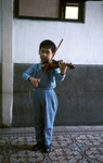 The violinist