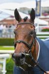 140723-Race 4-Andaleep-0444