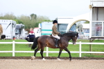 SBM_00217