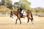 SBM_009196