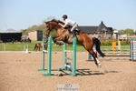 Cls 6 Foxhunter and 1.20m Open portfolio