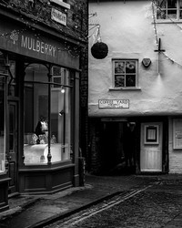 Mulberry