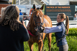 080624-Race 8-Resilience-7386