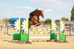 SBM_007366