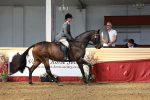 SBM_14963