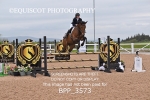 BPP_3573
