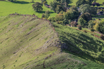Ilam-29