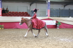 SBM_13457