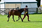SBM_01033