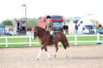 SBM_00341