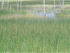 SKY LAKE DETAIL - BRUCE COUNTY