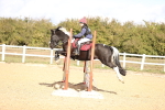 SBM_001466