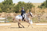 SBM_001590
