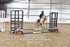 BPP_3171