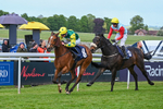 120526-Race 5-Coolree-8768