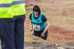 Loughrigg-311