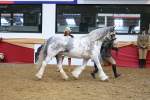 SBM_12626