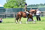 SBM_07866