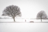 Snow Jog