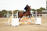 SBM_005049