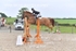 BPP_6464