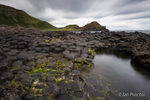 Passing time at Giants Causeway, County Antrim, N.Ireland.