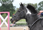 BPP_0514