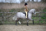 SBM_004696