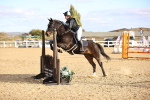 SBM_003656