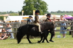 SBM_05193